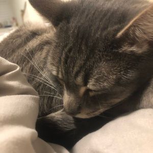 Meet your Posher, Sam